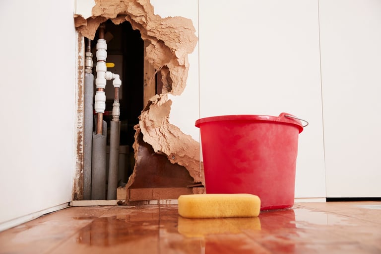 Professional restoration technician working on water damage