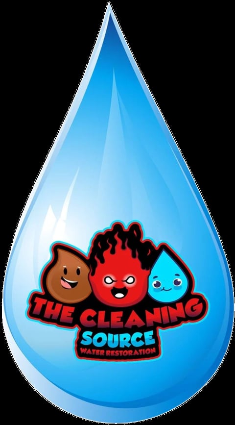 The Cleaning Source Water Restoration logo